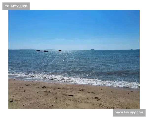 沈梦露告别凯尔特人:感谢这段旅程,成长由你们见证 沈梦露告别凯尔特人:感谢这段旅程,成长由你们见证